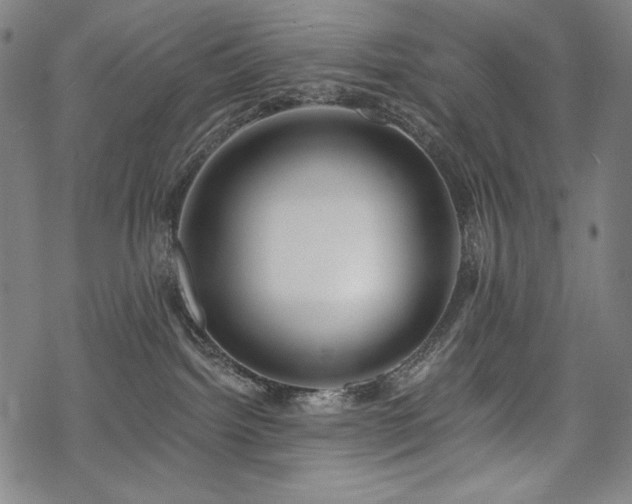 X0000069380092200605121157