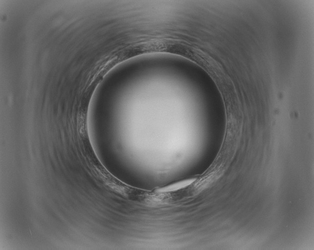 X0000069380096200605121157