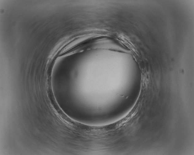 X0000069380101200605121156