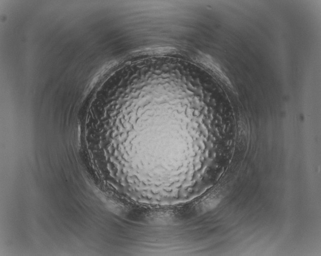 X0000069380110200605121156