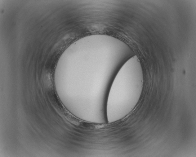 X0000069380130200605121155