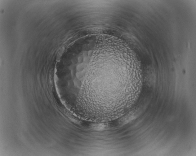 X0000069380131200605121155