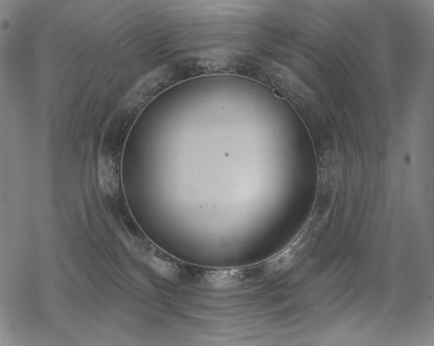 X0000069380136200605121155
