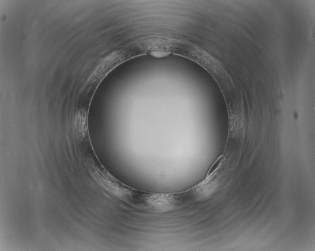 X0000069380142200605121155