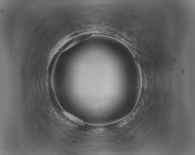 X0000069380152200605121154