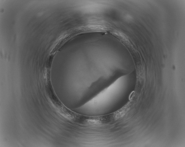 X0000069380167200605121155