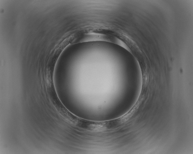 X0000069380170200605121155