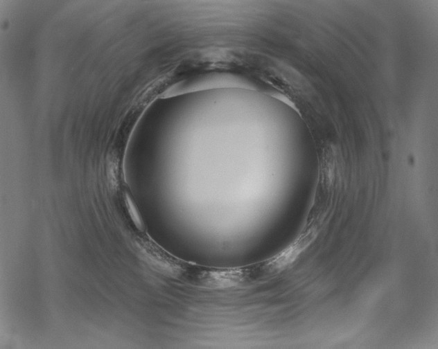 X0000069380188200605121155
