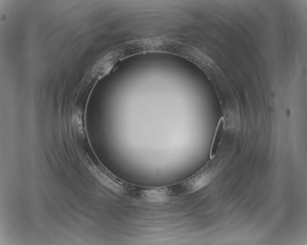 X0000069380238200605121154