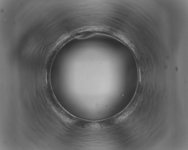 X0000069380253200605121153