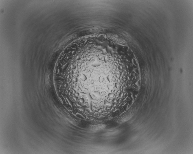 X0000069380266200605121153