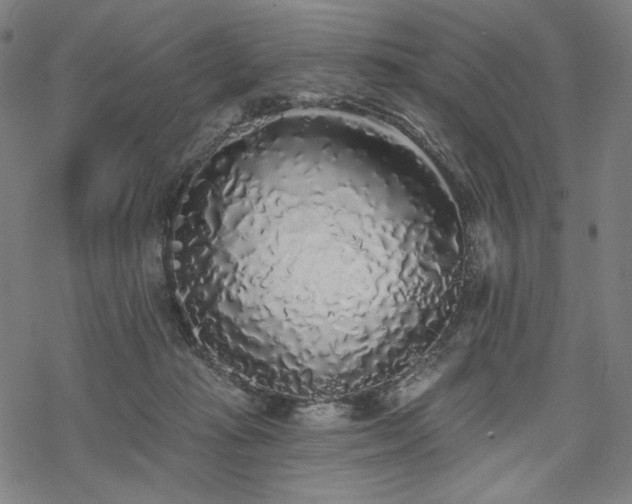 X0000069380269200605121153