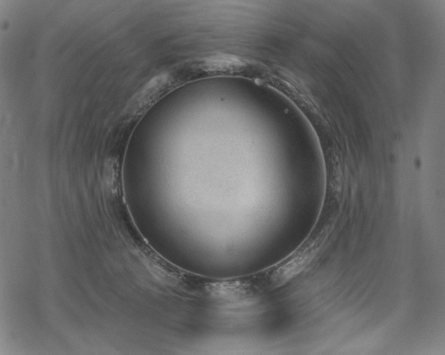 X0000069380273200605121153