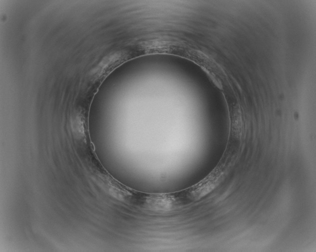 X0000069380282200605121153