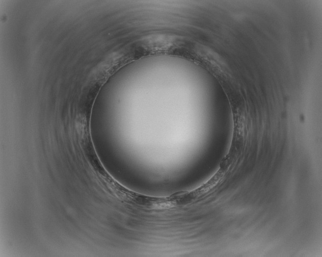 X0000069380283200605121153