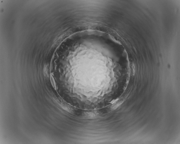 X0000069380286200605121153