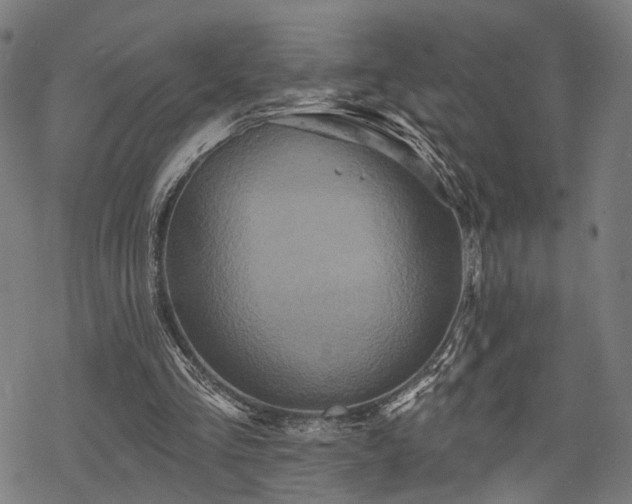 X0000069380293200605121153