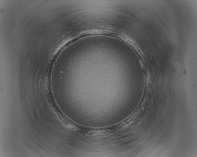 X0000069380297200605121153