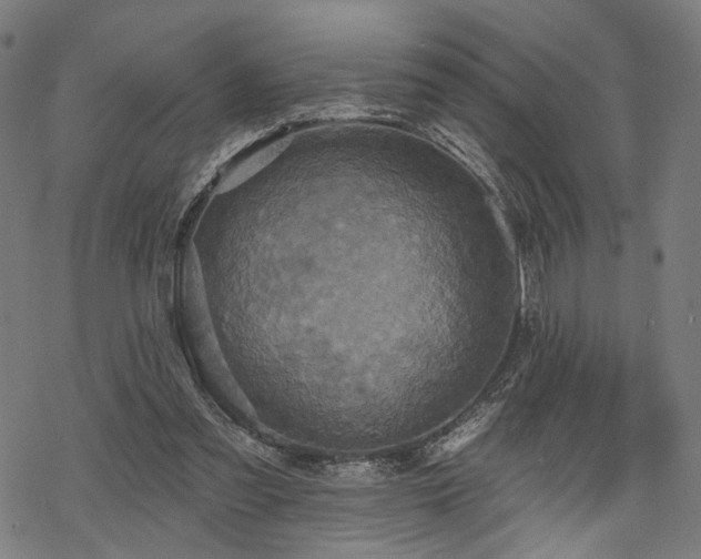 X0000069380301200605121152