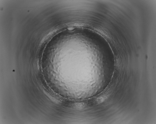 X0000069380302200605121152