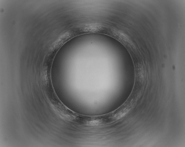 X0000069380312200605121152