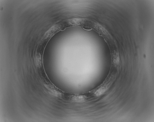 X0000069380332200605121152