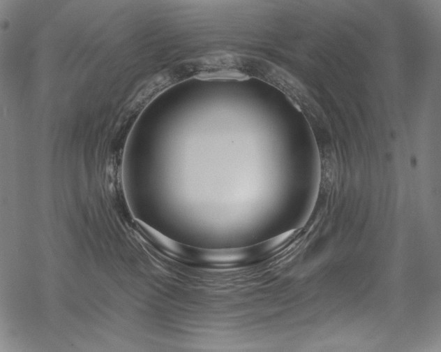 X0000069380333200605121152