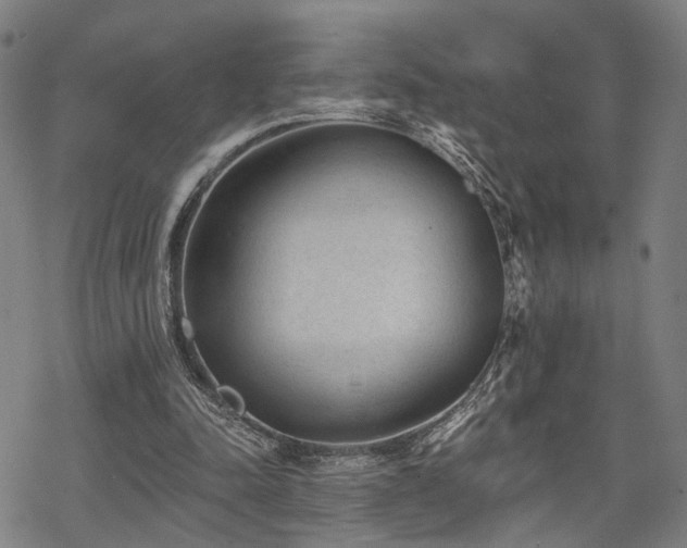 X0000069380342200605121151