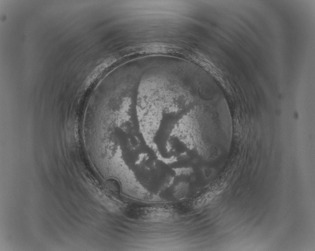 X0000069380347200605121151
