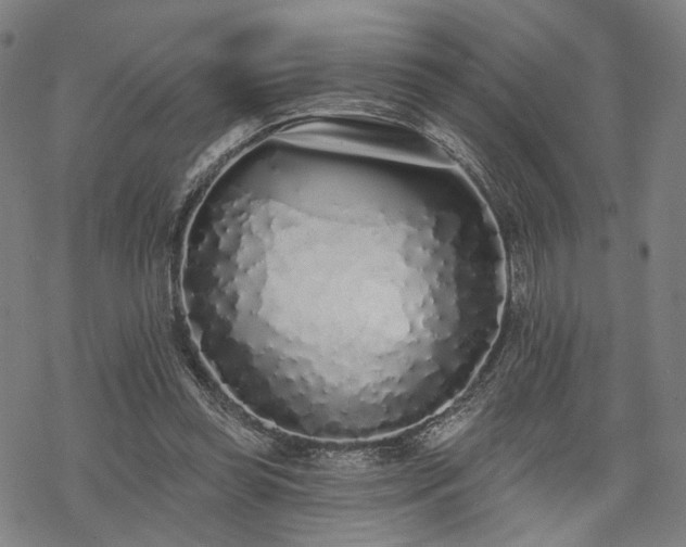 X0000069380349200605121151