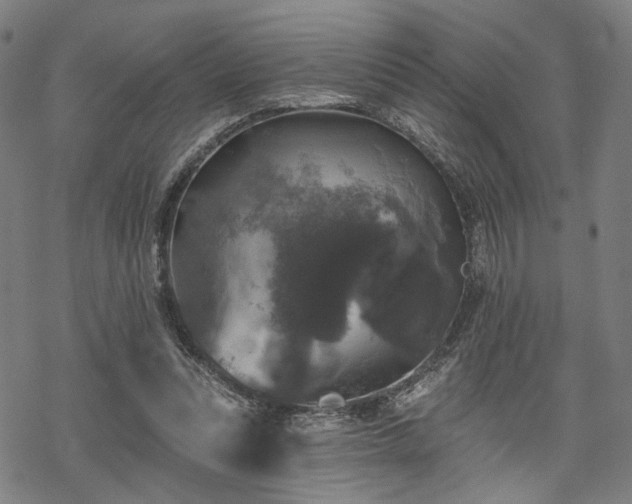 X0000069380351200605121151