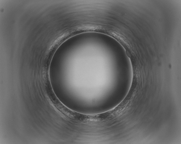 X0000069380352200605121151