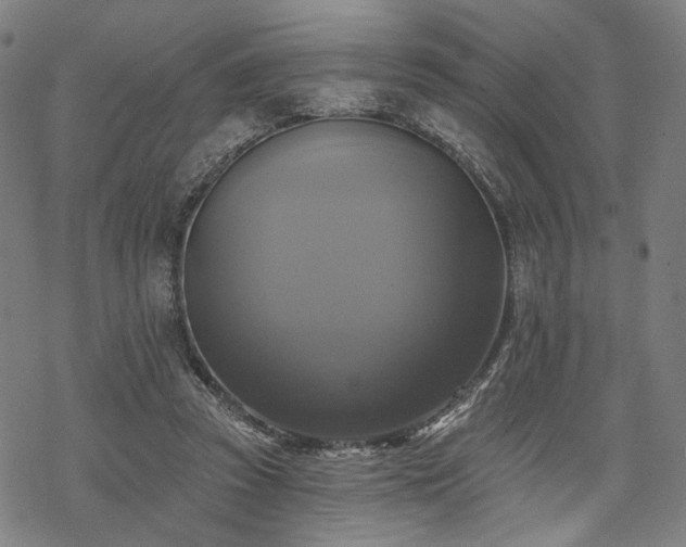 X0000069380353200605121151