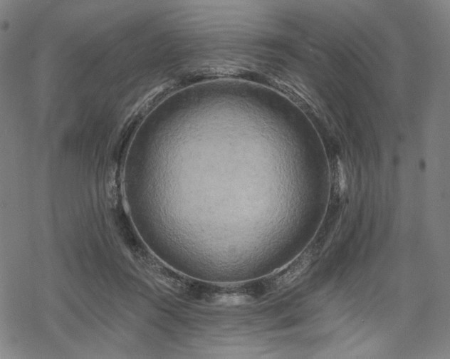 X0000069380360200605121151