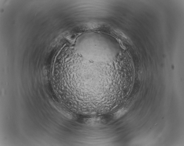 X0000069380366200605121152
