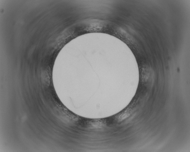 X0000069380370200605121152