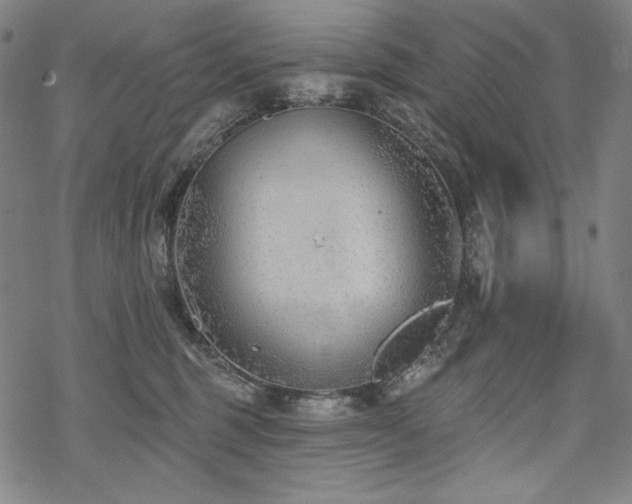 X0000069380375200605121152