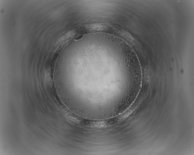 X0000069380377200605121152