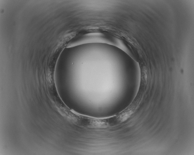 X0000069380380200605121152