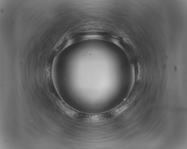 X0000069380382200605121152