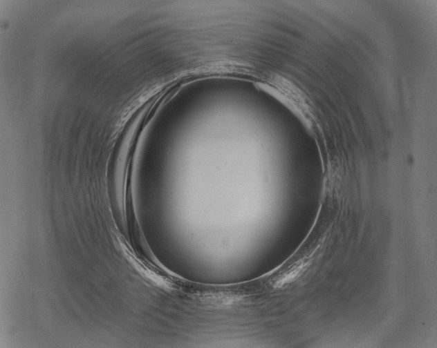 X0000069380389200605121151