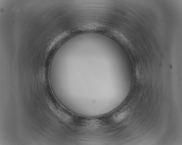 X0000069380396200605121151