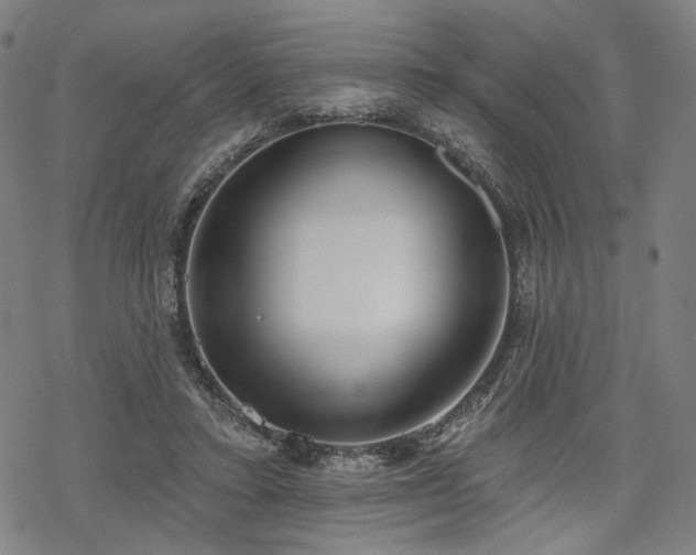 X0000069380403200605121151