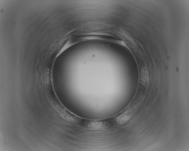 X0000069380413200605121151