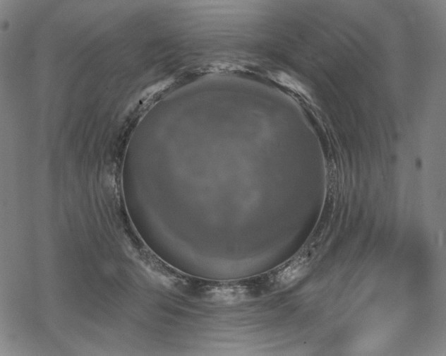 X0000069380415200605121151
