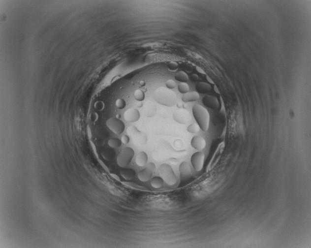 X0000069380424200605121150