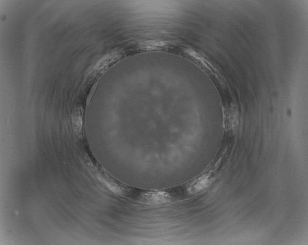 X0000069380427200605121150