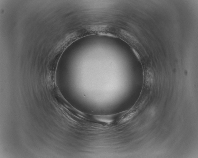 X0000069380428200605121150
