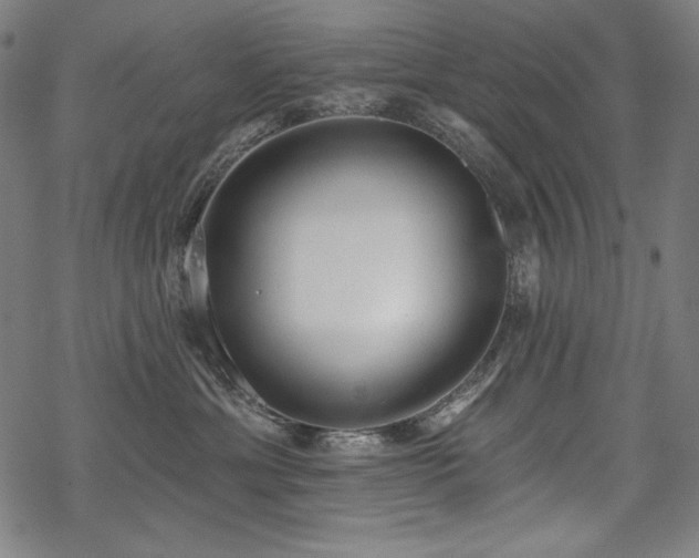X0000069380429200605121150