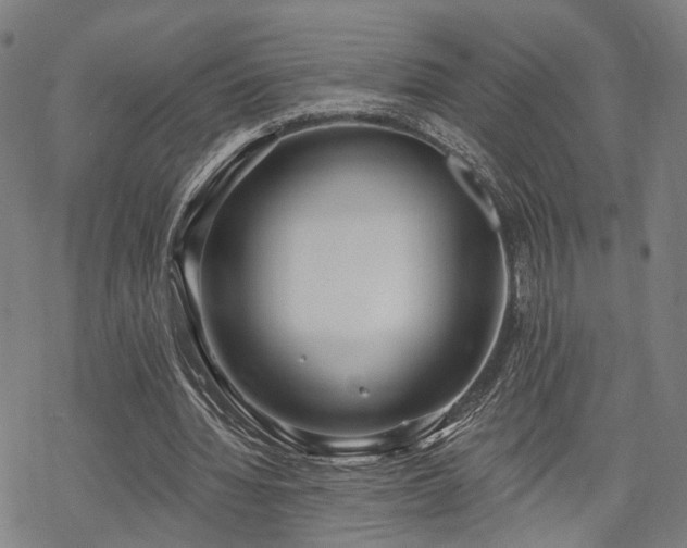 X0000069380436200605121150